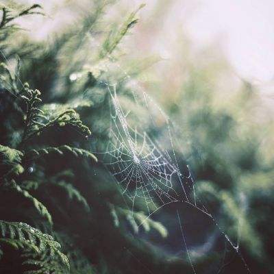 必赢亚洲app下载